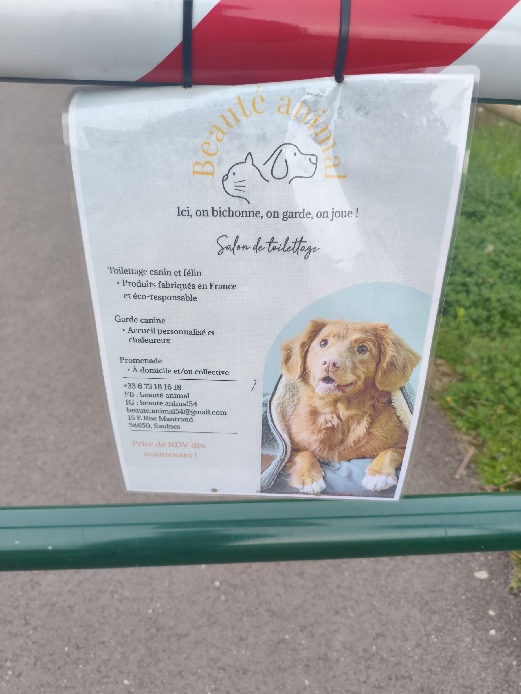 Affiche Beauté animal photographiée en vitrine